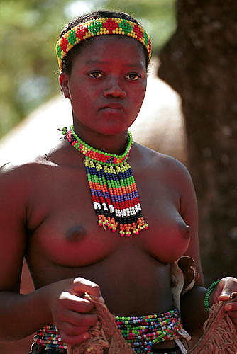 Africans Wild Nude Porn - Wild Africa